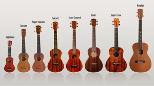 Le diverse taglie dell'ukulele